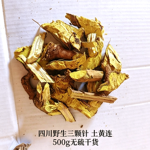 老川三颗针土黄连切片鸡脚刺直供清热降火熬夜上火长备中药材