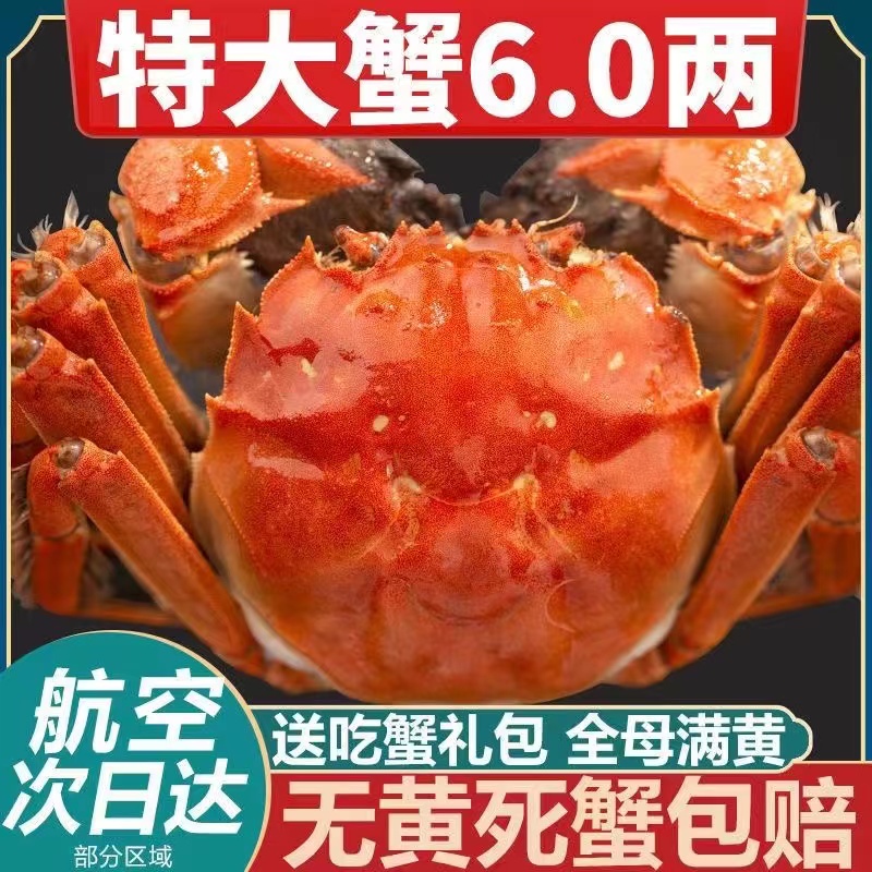 特大鲜活大闸蟹全公母满黄爆膏包肥公母8只礼盒特级大螃湖蟹包活-封面