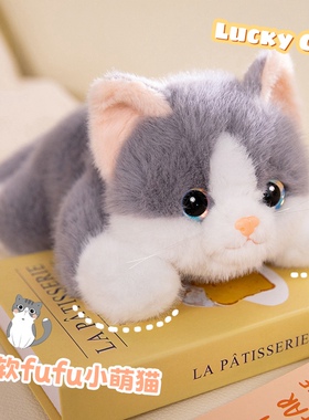 可爱猫咪玩偶公仔仿真小猫毛绒玩具儿童生日礼物女孩睡觉抱布娃娃