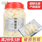 木之馨铜陵生姜腌制新鲜嫩姜芽糖醋泡姜子姜白姜下饭酱汁泡菜特产