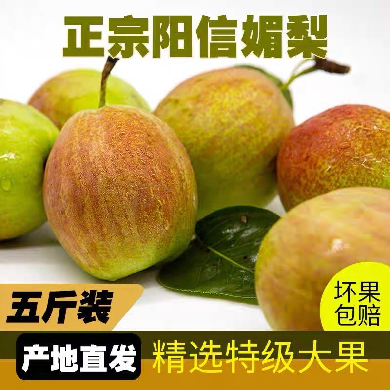 现摘现发富硒山东新梨七号阳信媚梨库尔勒香梨升级版,水产肉类/新鲜蔬果/熟食,梨,淘宝优惠券,粉丝福利购,淘宝优惠卷
