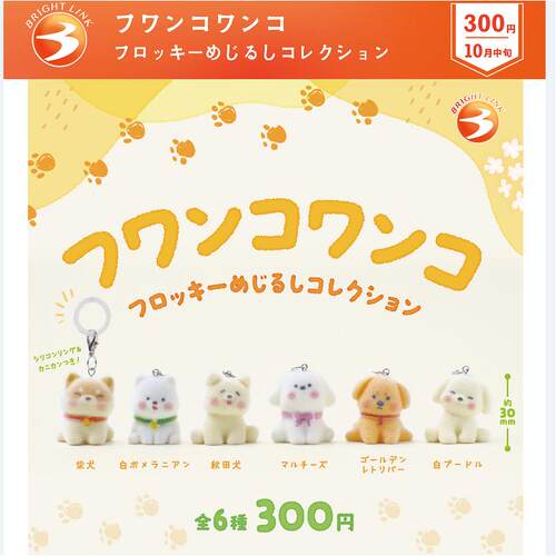 12月预定正版BRIGHT蓬