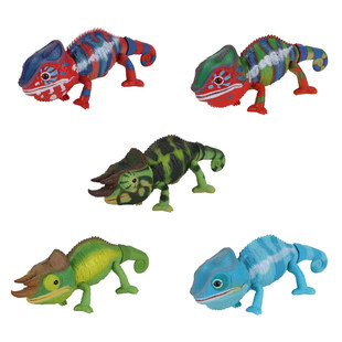 变色龙摆件不 生物大图鉴 包邮 预售定金