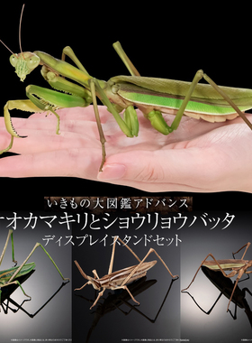 [预售定金]扭蛋 生物大图鉴 螳螂 大刀螳螂 剑角蝗 蚂蚱可动