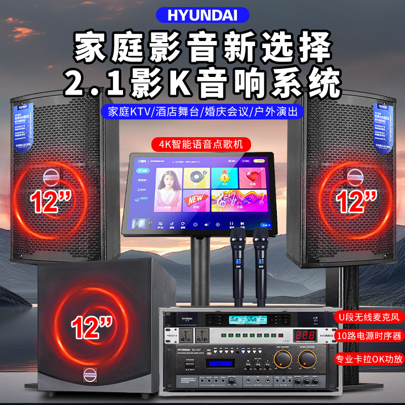 现代家庭KTV音响套装卡拉OK机家用客厅K歌功放音箱影院点歌机全套