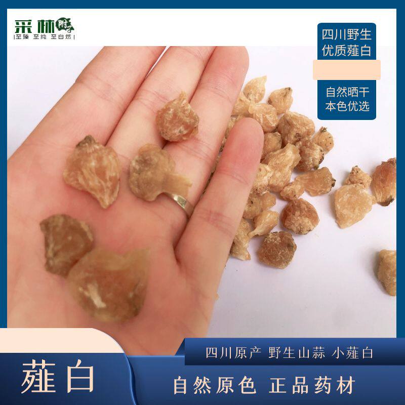 薤白  正品四川小薤白 山蒜子无加硫 自然农产品麦冬山楂包邮