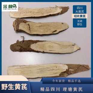 正品四川黄芪理塘大片选装丁真黄芪浓郁豆香味本色无加硫