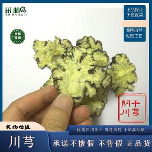 江油采林川芎片 川芎粉中药川穹川弓完整大片味道浓1000g