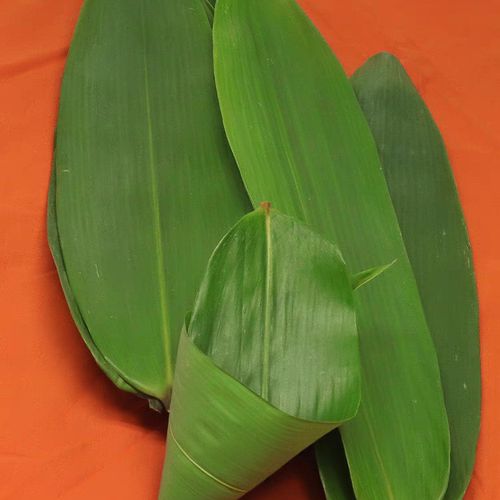 新鲜竹叶粽子叶粽叶粽子叶新鲜大粽叶端午粽叶干粽叶特大粽叶包邮