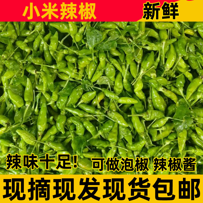 广西5斤野山椒泡椒辣辣椒农家新鲜小米椒朝天椒指天尖椒商用包邮