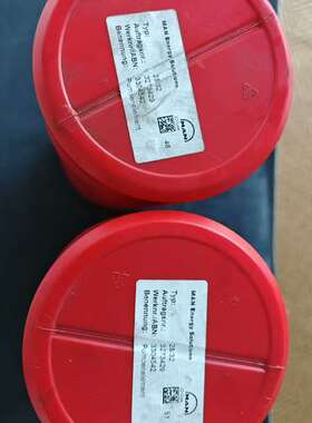 MAN 28/32原厂柱塞，IMO:36.01