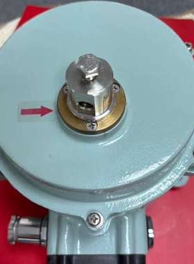 DAEYANG电动执行器，型号RT453，10.6KG，AC