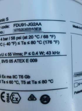 FDU91-JG2AA E+ H 超声波液位计探头 Pros