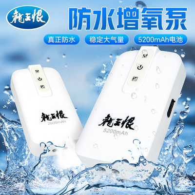 龙王恨增氧泵防水大气量户外便携充电式增氧机垂钓专用钓鱼配件