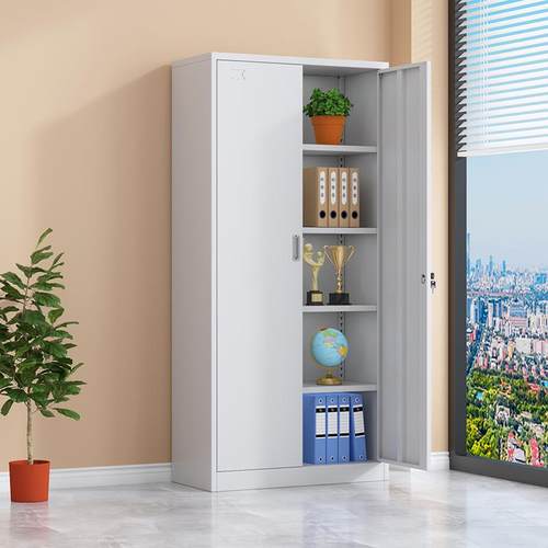 新款直销办公室对开门文件柜铁皮书柜收纳柜财务凭证档案资料带锁