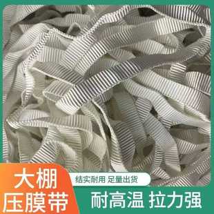 新款 蔬菜养殖温室高强度涤纶压膜线大 直销温室耐高温大棚压膜带