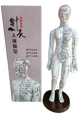 新款直销针灸穴位人体模型人体经络模型全身铜色白色 男50cm女48c