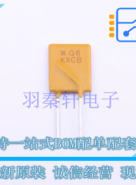 自恢复保险丝 RGEF600 插件 全新原装进口