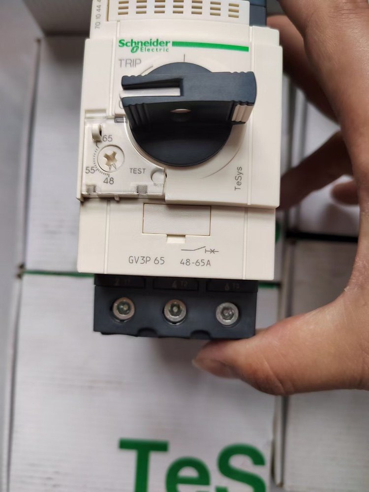 施耐德电动机保护器GV3P65  询