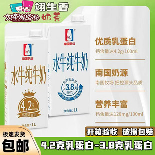 南国4.2g乳业乳鹰水牛纯12盒装牛奶乳蛋白学生早餐奶家庭装水牛奶