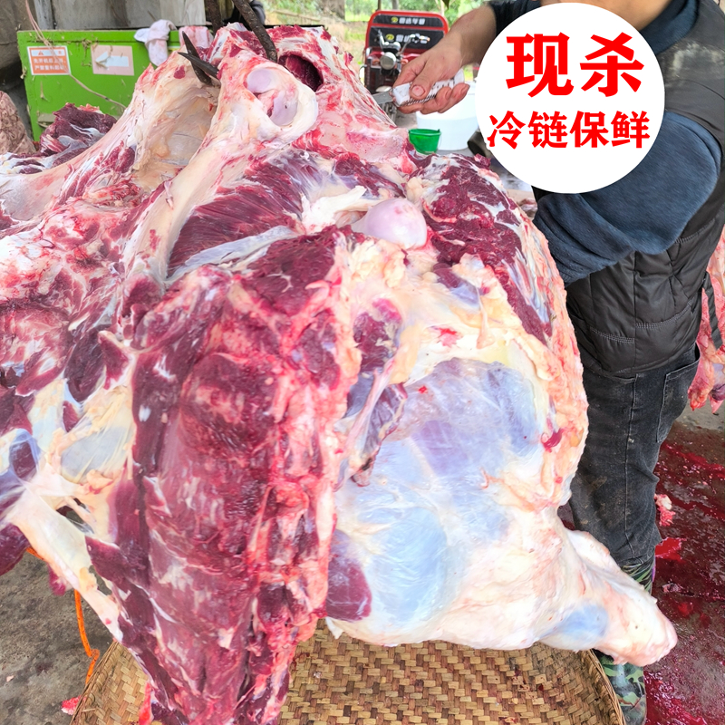 牛肉新鲜深山高海拔纯吃草喝山泉现杀新鲜牛肉牛排骨冷冻生黄牛肉