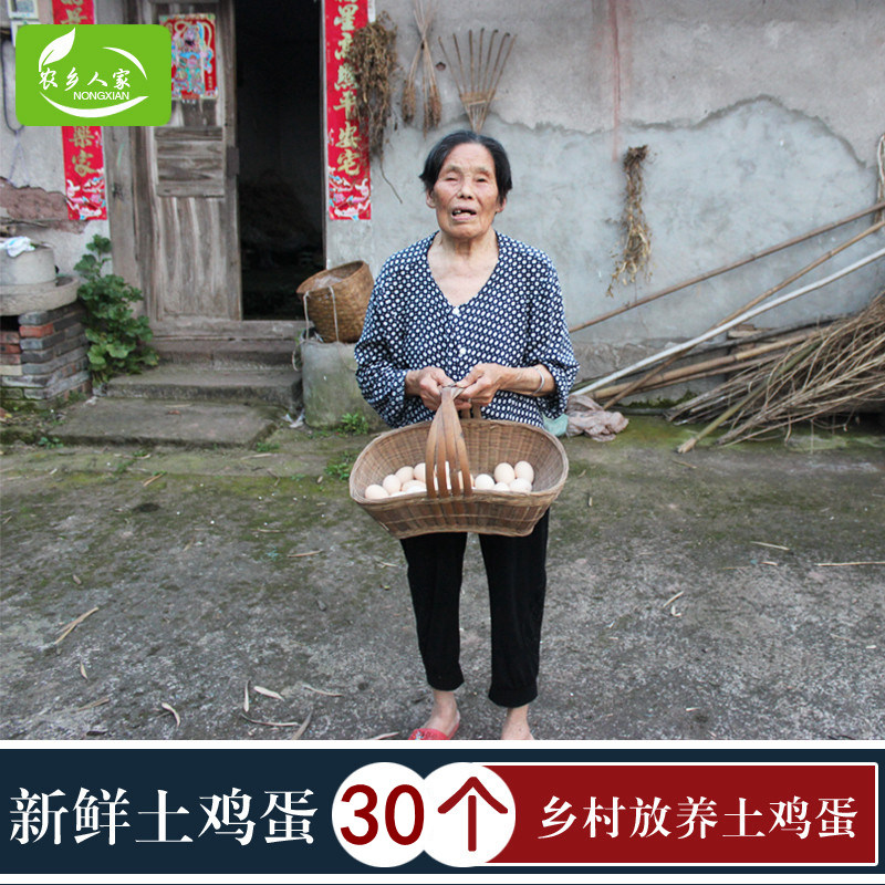农户散养土鸡蛋杂粮喂养笨鸡蛋新鸡蛋