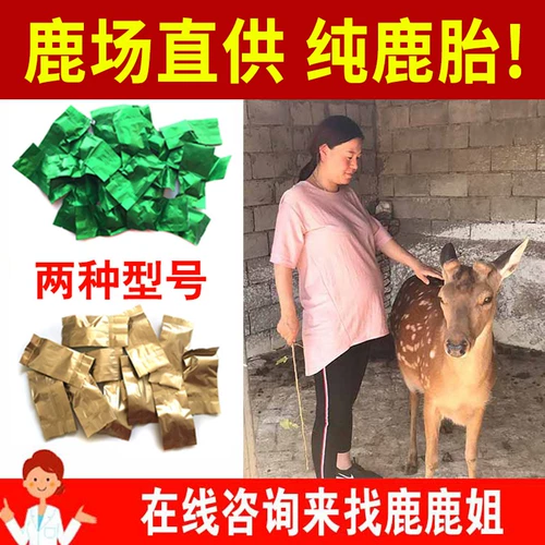 Meihua Deer Pleas