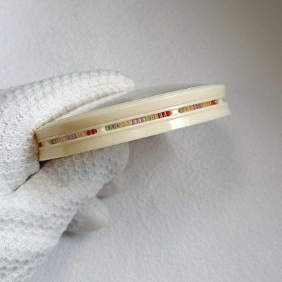 杨连平万体彩窗黄蛉盒