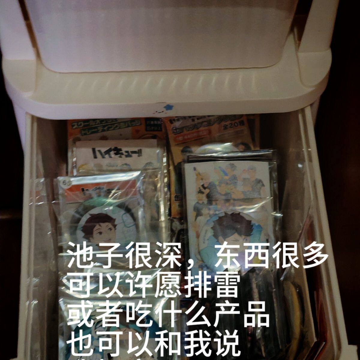动漫正版IP排球蓝锁咒术大盲袋 可许愿排雷 保值