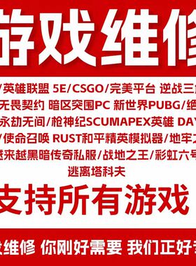 电脑机器维修LOL穿越火线APEX逆战未来CF塔科夫码无畏契约过炸鱼