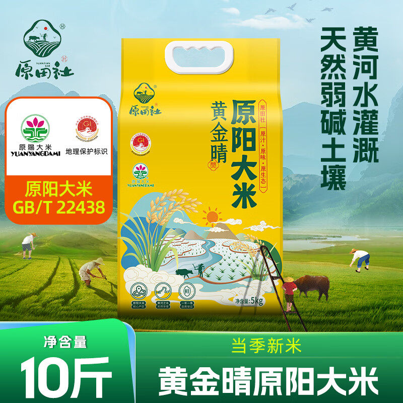 【河南特产】10斤黄金晴原阳大米GB/T22438 当季新米真空包装