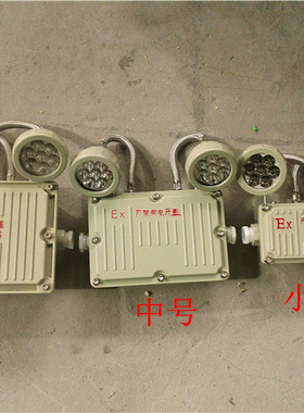 BCJ52-2*20防爆应急灯LED双头应急照明灯BAJ52-B蓄电池疏散应急灯