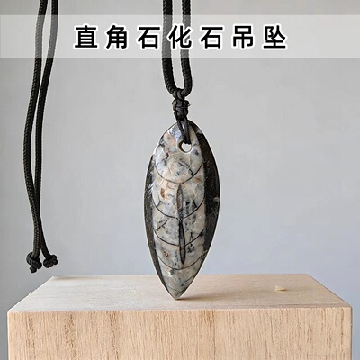 奥陶纪直角石化石吊坠地质矿物礼