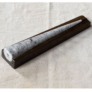 天然震旦角化石饰品摆放动物石材角石笔石镇纸镇尺古生物标本9999