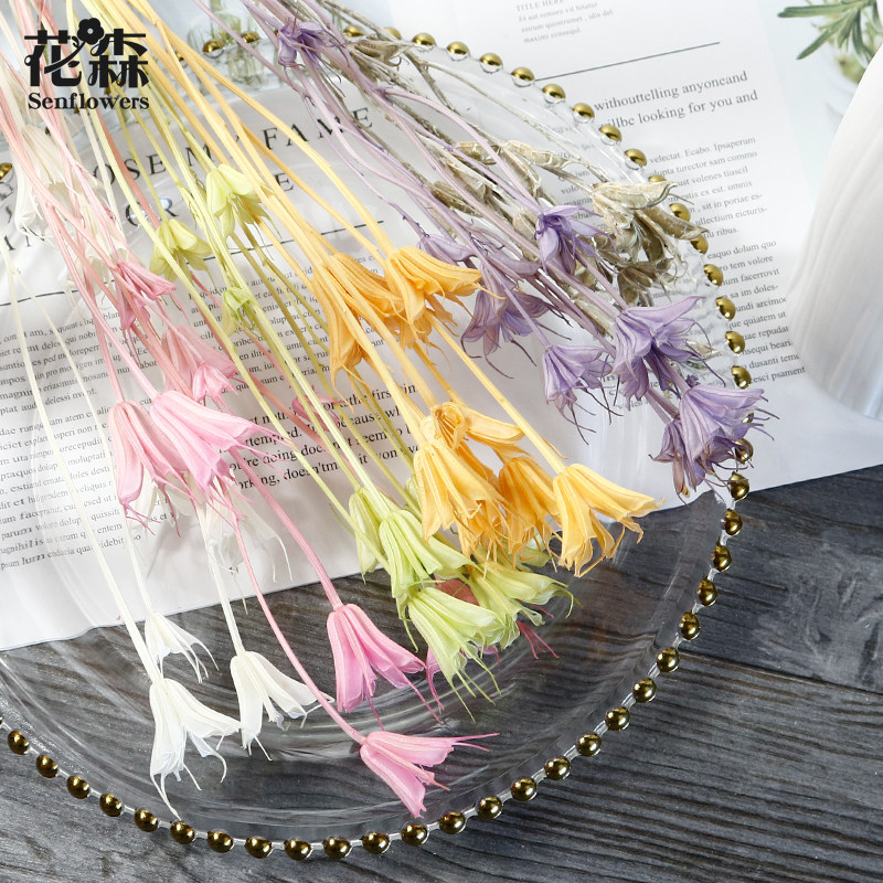 进口日本大地农园八角花永生花diy干花保鲜花装饰搭配10380插花