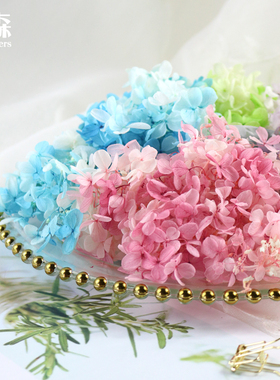 大地农园01513渐变绣球/永生花diy配材配花单克装饰搭配保鲜花