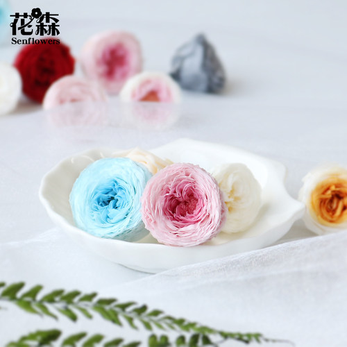 永生花奥斯汀玫瑰2-3cm小花头diy手工装饰花盒玻璃罩材料包保鲜花