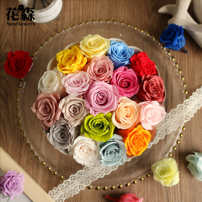 进口大地农园03480永生花玫瑰