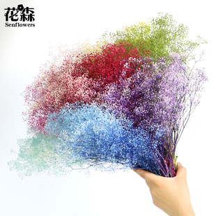 饰配花diy 00020多色满天星百万星装 进口日本大地农园00010 00015