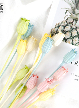 进口日本大地农园50510风铃草花灯笼果滴胶diy装饰搭配保鲜永生花