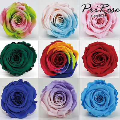 永生花玫瑰多头6-7cm花头