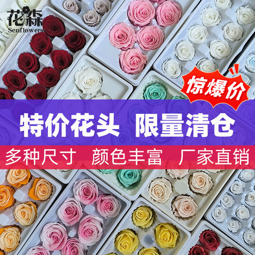 永生花手工diy材料花头B级多色多尺寸玫瑰花头批发送女友花材干花