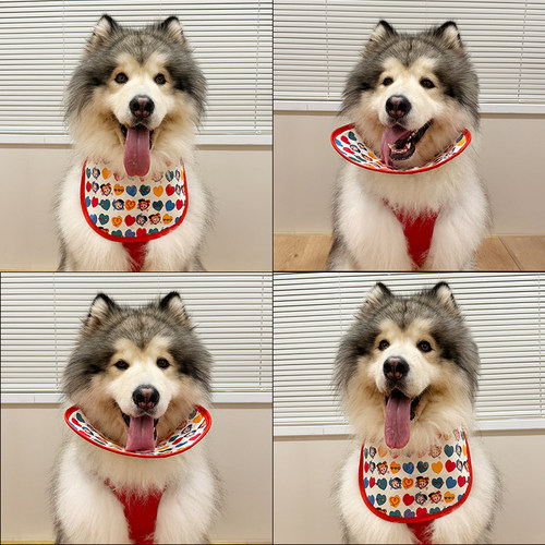 新款！口水巾狗狗大型犬