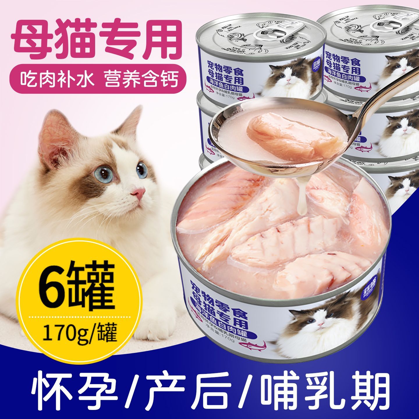 孕猫母猫怀孕哺乳期产后