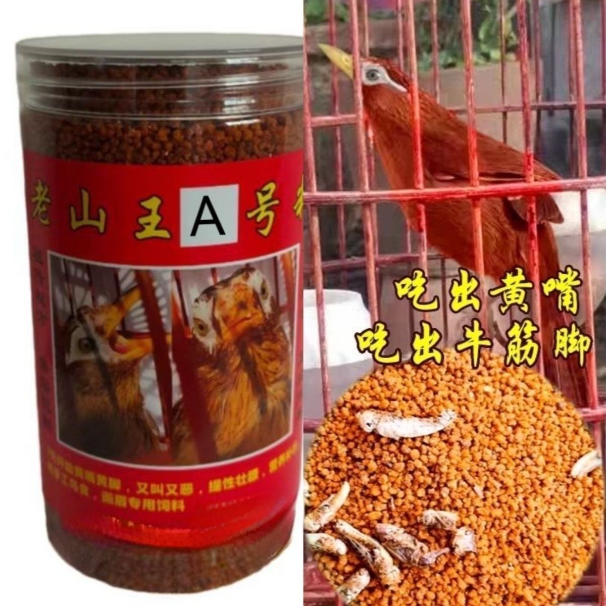 老山王A料七天黄嘴黄脚画