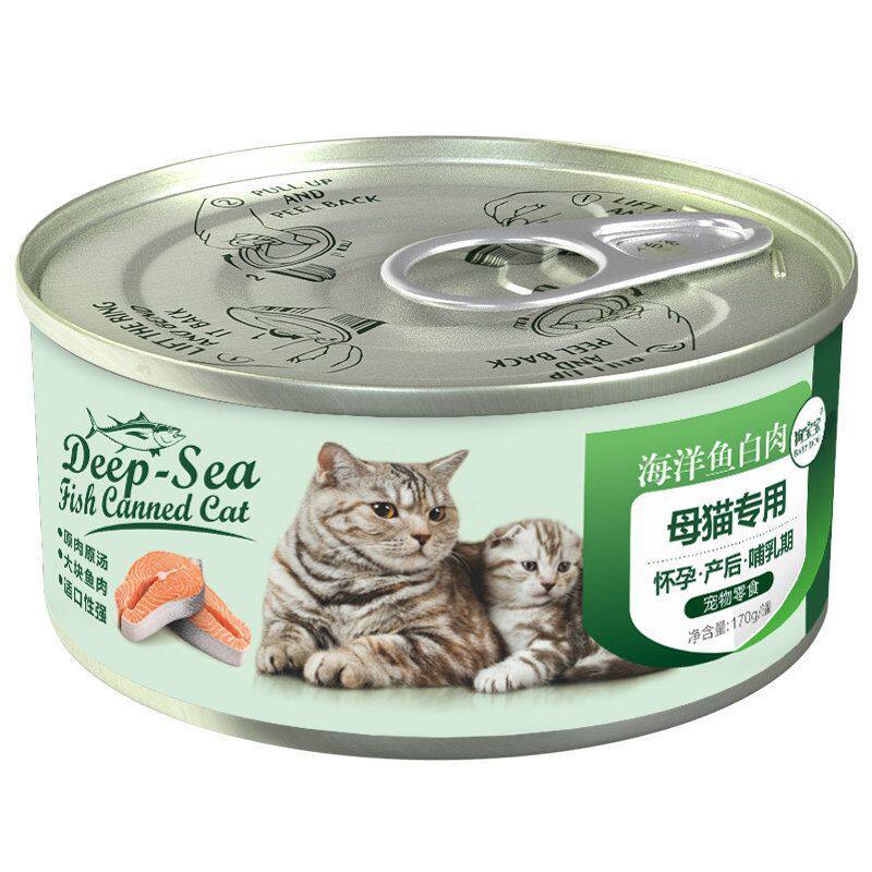 母猫产后怀孕猫罐头哺乳