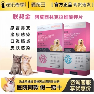 联邦金阿莫西林克拉维酸钾片犬猫消炎药猫狗感冒皮肤感染泌尿感染