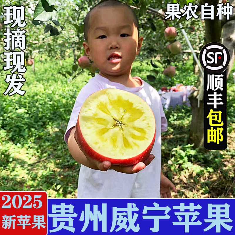 贵州威宁深山糖心丑苹果顺丰包邮