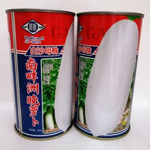 白萝卜 南畔洲晚萝卜早熟耐热白萝卜籽白萝卜种子