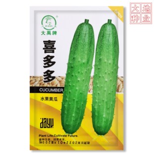 大禹牌喜多多 中早熟黄瓜种子长势强抗病品质优良产量高基地专用